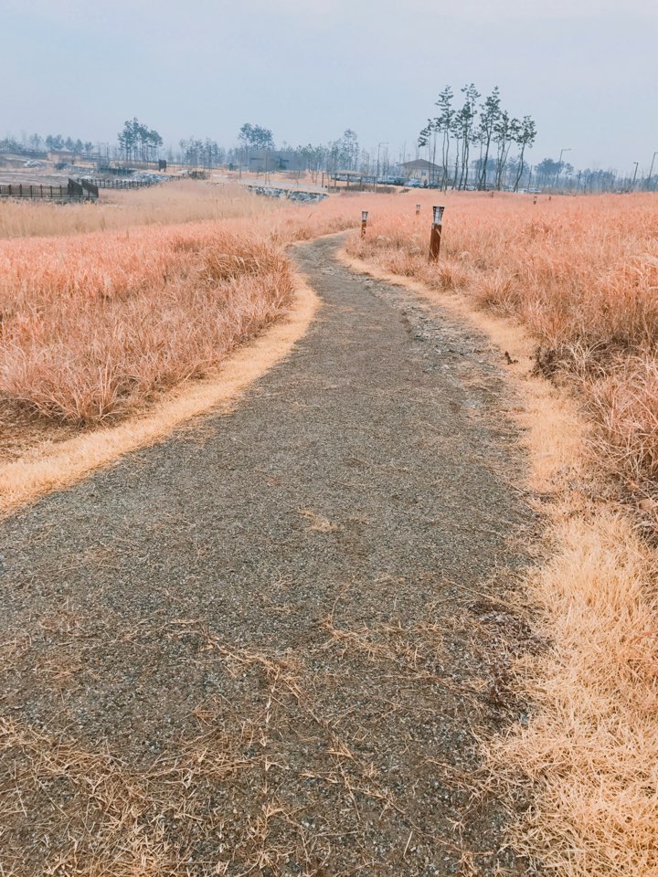 <우승작> 너에게로 가는 길